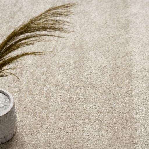 Nagymeretu modern nappali szonyeg - bezs-barna, borduros, rovid szalu, 240x340 cm