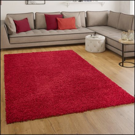 Szonja Shaggy szőnyeg puha hosszú szálú szőnyeg - piros 300x400 cm