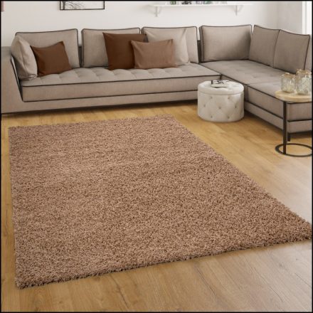Szonja Shaggy szőnyeg puha hosszú szálú szőnyeg - bézs 300x400 cm