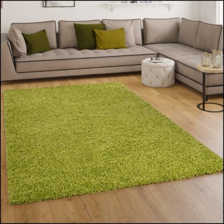 Szonja Shaggy szőnyeg puha hosszú szálú szőnyeg - zöld 300x400 cm