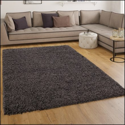 Szonja Shaggy szőnyeg puha hosszú szálú szőnyeg antracit 300x400 cm