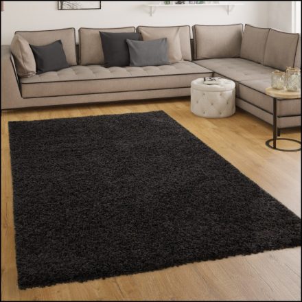 Szonja Shaggy szőnyeg puha hosszú szálú szőnyeg - fekete 300x400 cm