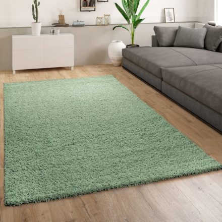Shaggy szőnyeg puha hosszú szálú design szőnyeg zöld 300x400 cm