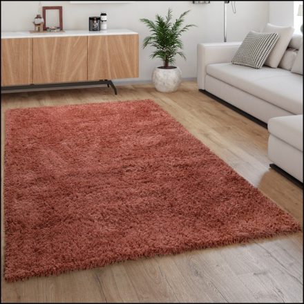 Eden Shaggy szőnyeg egyszínű szőnyeg rozsdabarna 60x100 cm