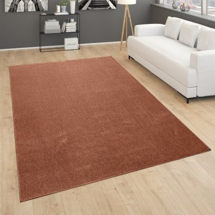 Egyszínű modern szőnyeg rozsdabarna 240x340 cm