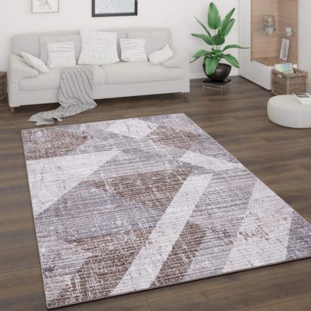 Modern szőnyeg nappaliba geometria parketta mintával rövid szálú barna 240x340 cm