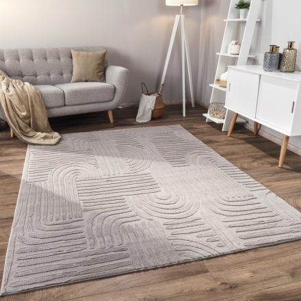 Skandináv szőnyeg nappaliba 3D modern - szürke szőnyeg 240x340 cm