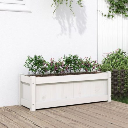 fehér tömör fenyő kerti virágláda 90x31x31 cm